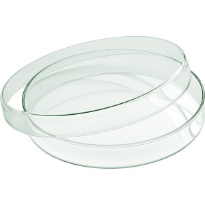 Schonwald PlayGround Glass szklany talerz z pokrywką 18 cm.