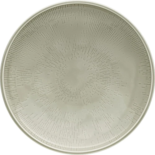 shiro-steam-makaron.jpg